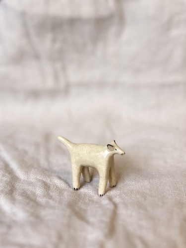 IMG_4404 Duży.jpeg