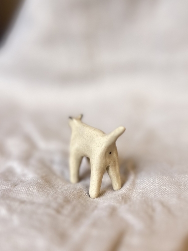 IMG_4406 Duży.jpeg